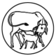Calf-Feding