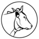 Gir_Cow